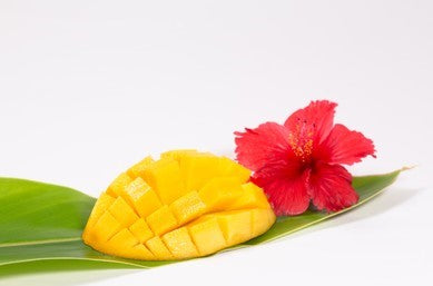 Hibiscus Mango Sugar Scrub & Body Butter Set