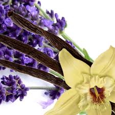 Vanilla Lavender Body Butter