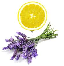 Lemon Lavender Sugar Scrub & Body Butter Set